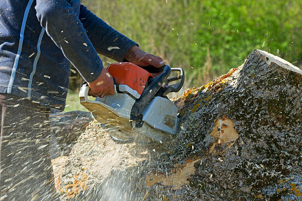 Soil Testing and Treatment in Vineyard, CA